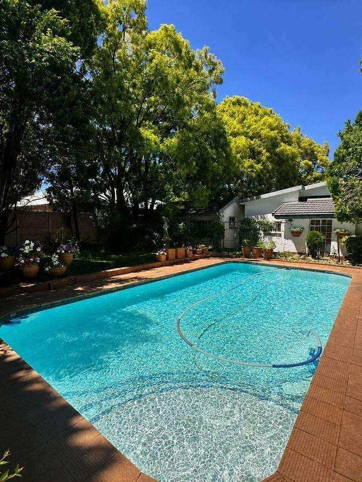 Garden Court swimming pool sparkling beneath mature trees