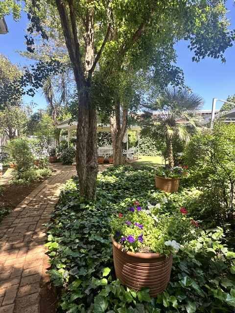 Brick garden path winding beneath shady trees